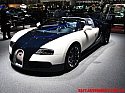 Bugatti Veyron Grand Sport (3)