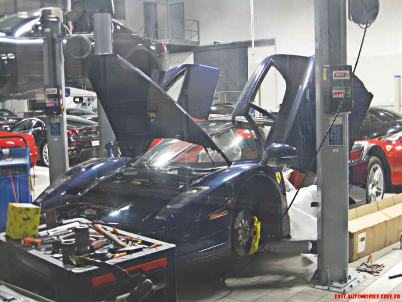 Ferrari%20Enzo%20%28P%29%20%283%29.jpg