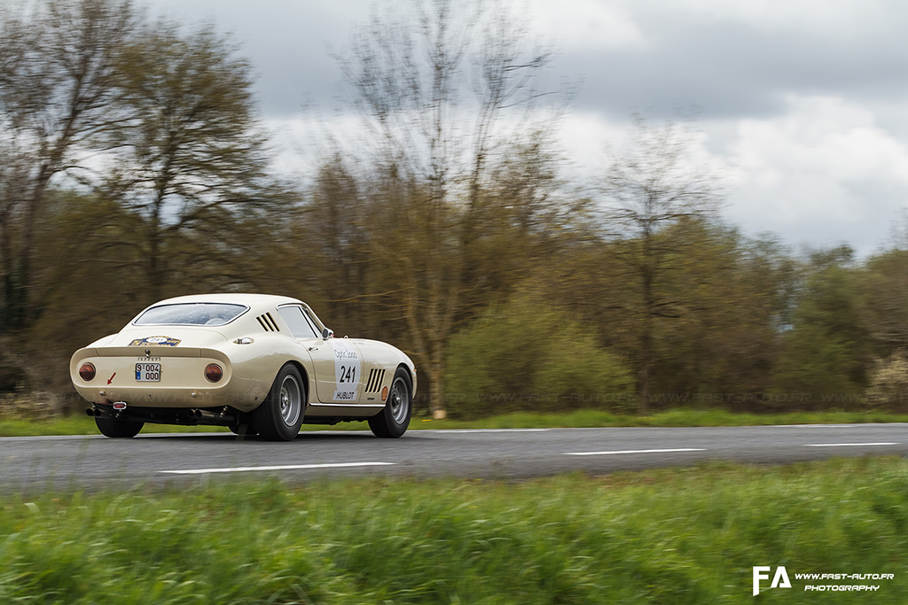 Ferrari 275 GTB (3).jpg