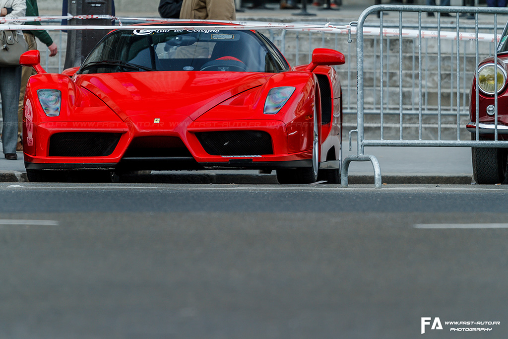 Ferrari Enzo (3).jpg