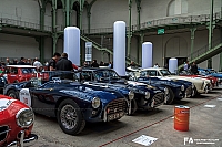 AC Cobra (2).jpg