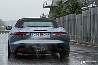 Jaguar F-Type - Paddock Le Mans.jpg