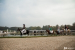 1-concours-chantilly-chevaux.jpg
