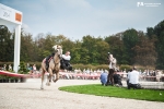 10-chantilly-arts-elegance-chevaux.jpg
