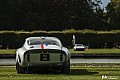 10-photo-galerie-2015-chantilly-arts-et-elegance-49.jpg