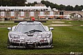 11-photo-concours-chantilly-4.jpg