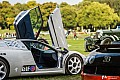 12-photo-galerie-2015-chantilly-arts-et-elegance-121.jpg