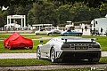 12-photo-galerie-2015-chantilly-arts-et-elegance-89.jpg