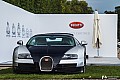 4-veyron-bugatti-photo-2015-chantilly-arts-et-elegance.jpg