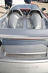Porsche Carrera GT - 491 (9)